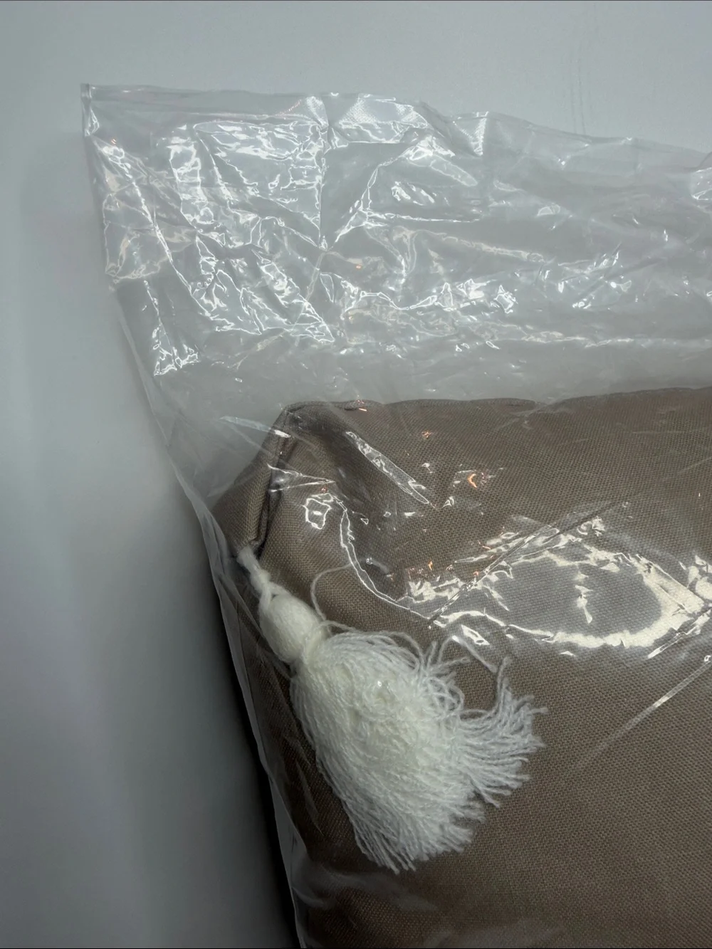 Disney Winter Wonderland pillow